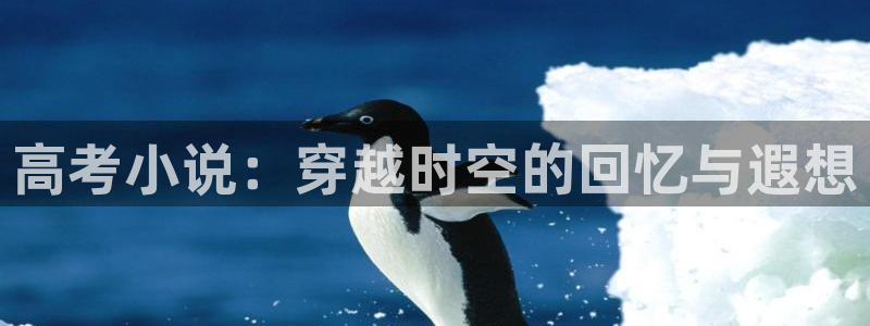 海棠书屋无弹窗免费网络小说阅读
